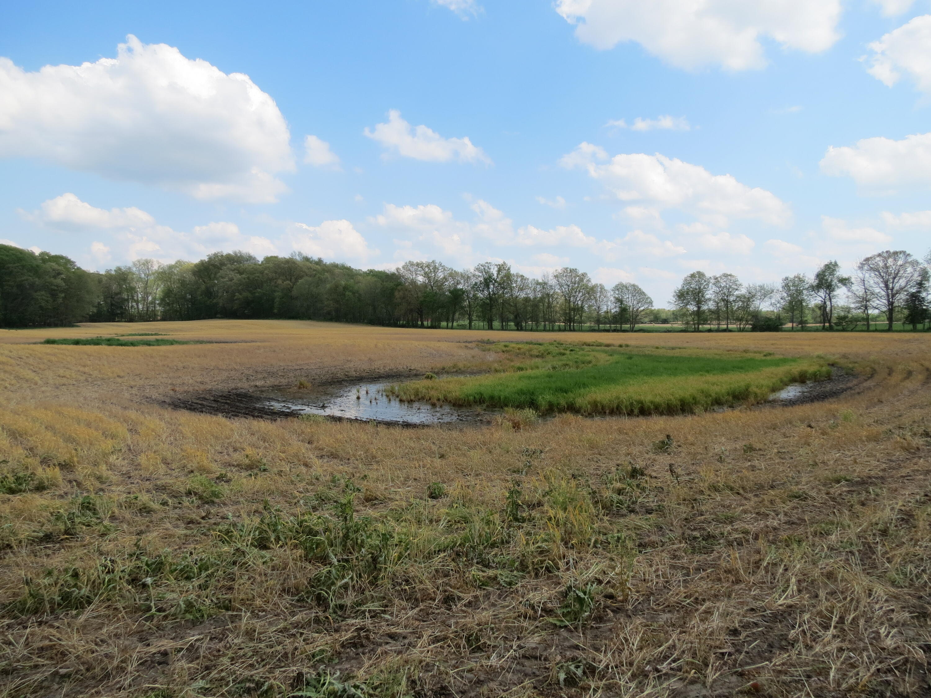 South Stony Lake Road, Unit A Jackson, MI 49201 - Photo 2 of 39 IMG_4232 - Copy