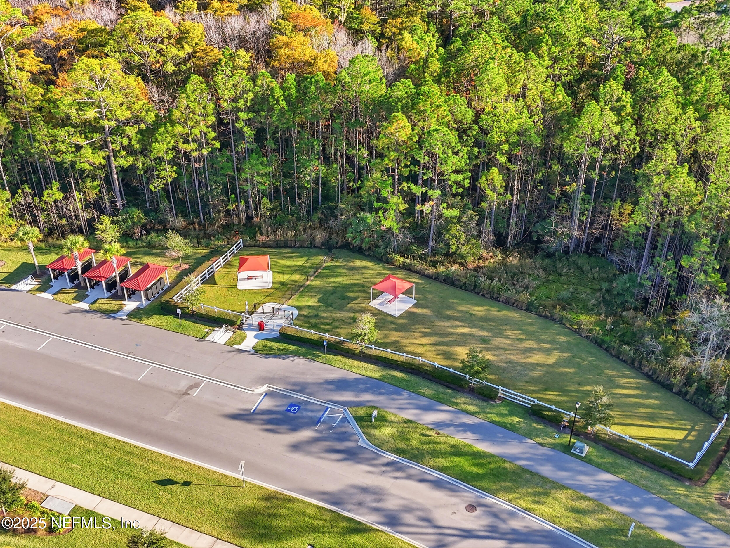 607 Blind Oak Circle St. Augustine, FL 32095 - Photo 37 of 39 a view of a backyard with plants and large trees