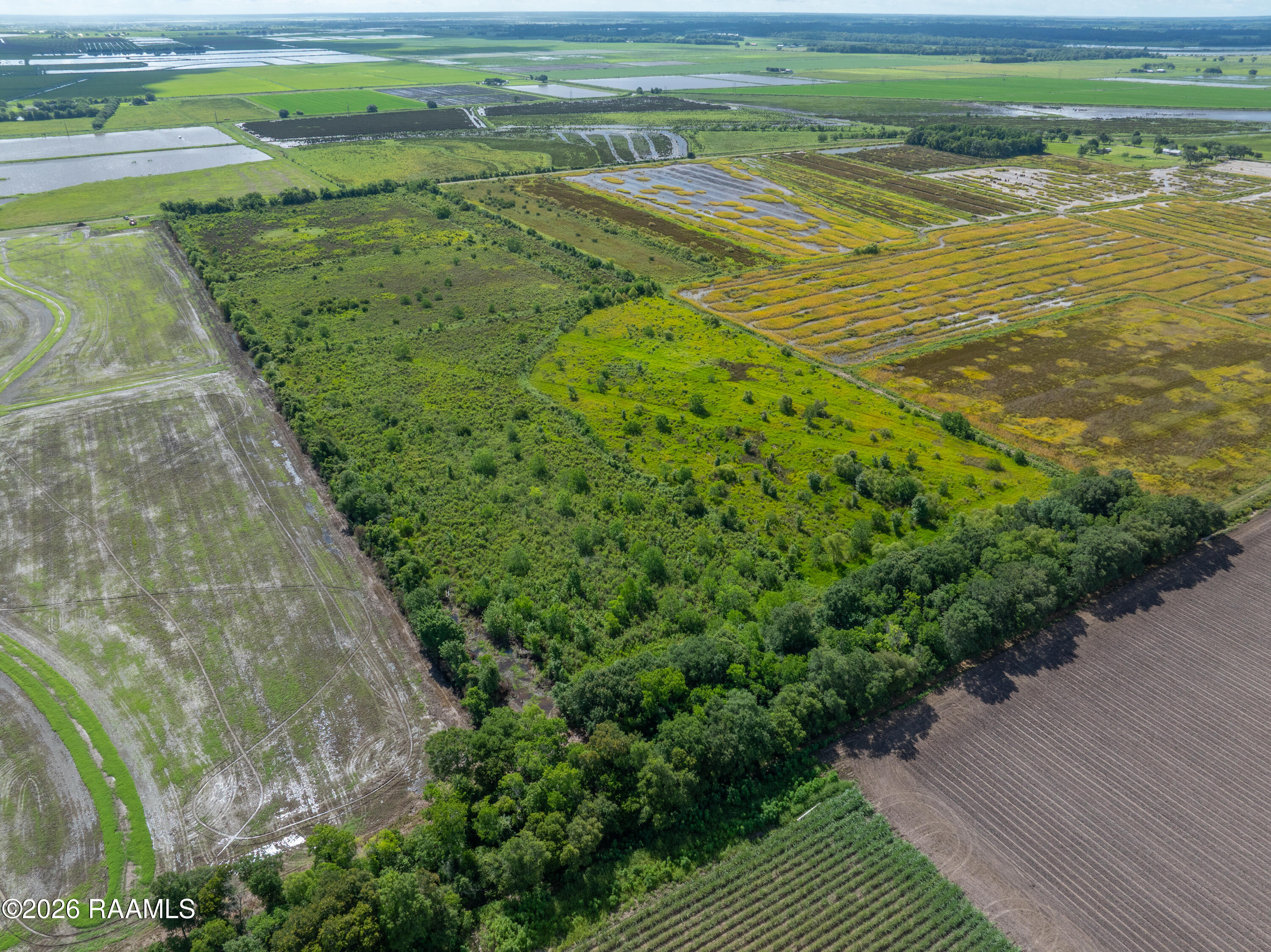 North Halloway Road Kaplan, LA 70548 - Photo 4 of 13