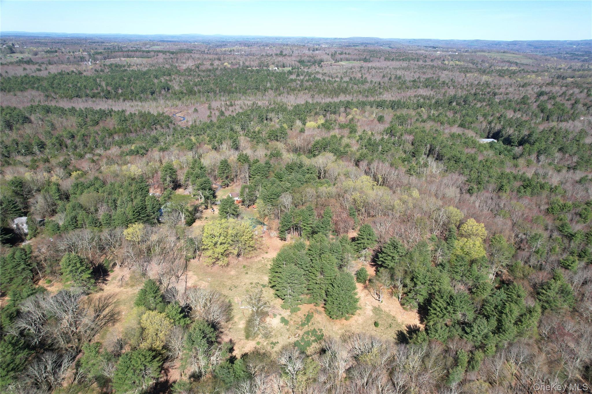 142 Old Tacy Road Bethel, NY 12783 - Photo 36 of 38 a view of a city with lush green forest