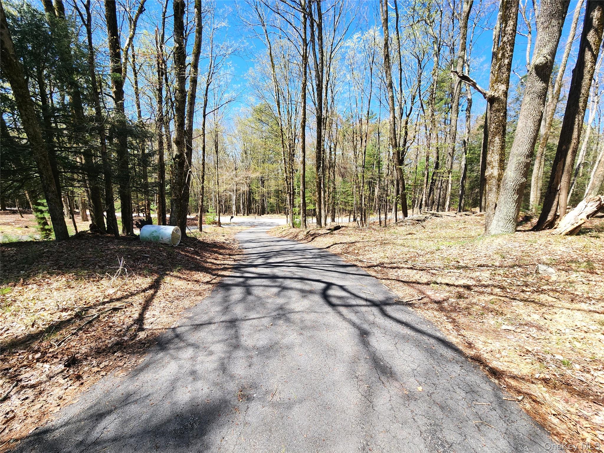 142 Old Tacy Road Bethel, NY 12783 - Photo 37 of 38 a view of a yard with snow on the road
