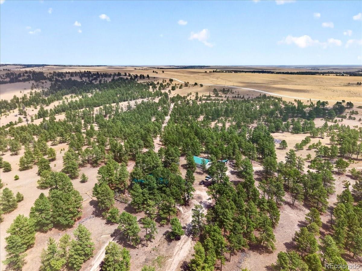 32901 Ridge Road Ramah, CO 80832 - Photo 15 of 50 Gallery Image 15
