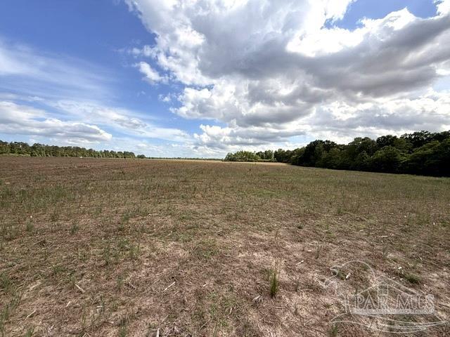 Lot 2-3 Tungoil Road Walnut Hill, FL 32568 - Photo 9 of 11