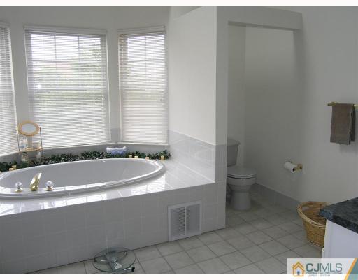 40 Timber Ridge Road North Brunswick, NJ 08902 - Photo 6 of 8 a bathroom with a bathtub and a sink