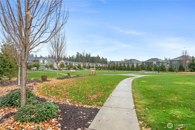 a view of a park with large trees