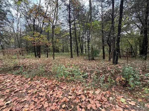 $125,000 | 24900 Highway 32, Belleview, MO 63623