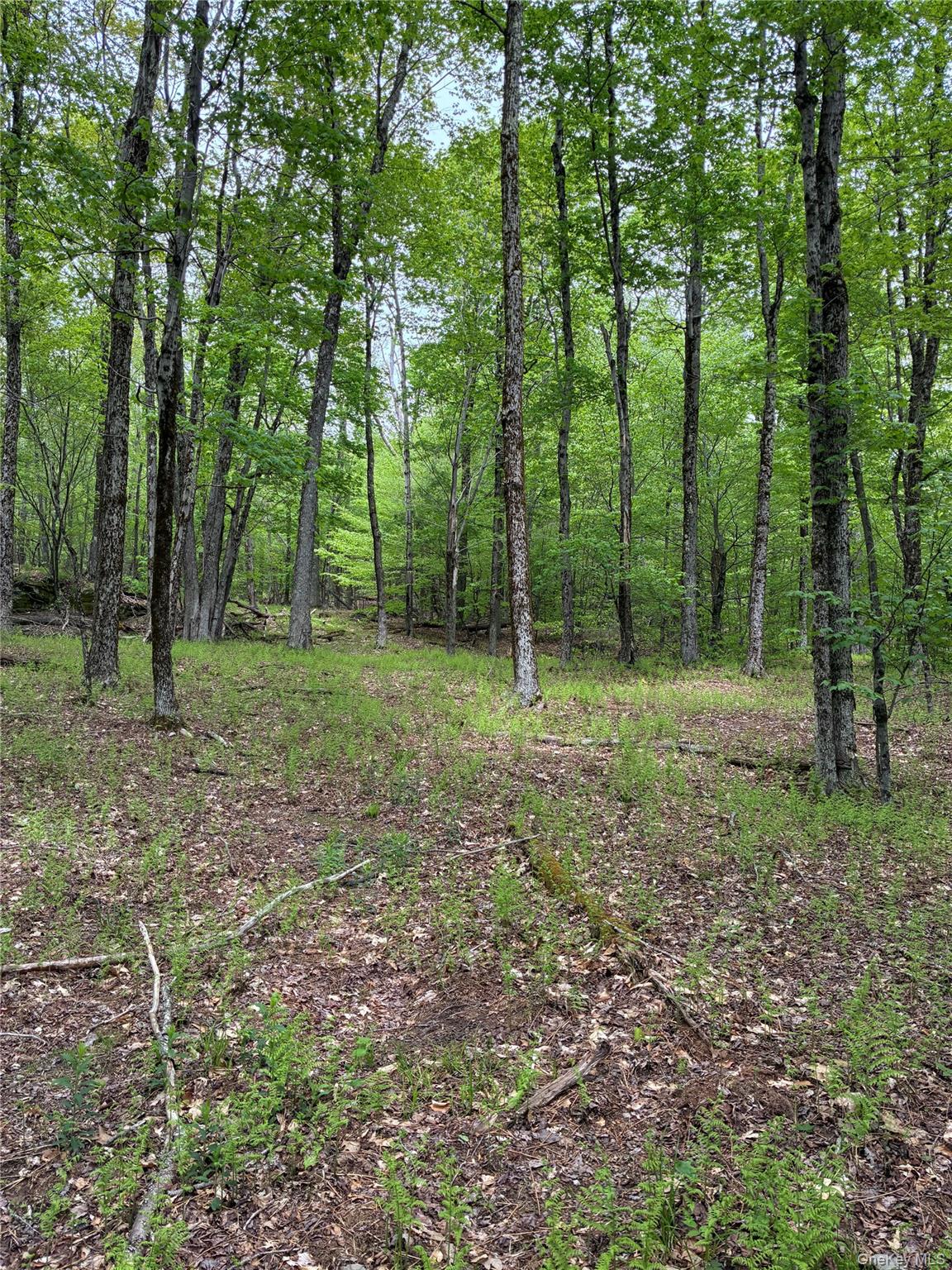 1 Mountain Lake Road Andes, NY 13731 - Photo 3 of 5 a view of outdoor space with green field and trees