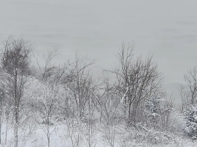 $585,000 | 1802 Lakeshore Drive, Unit 6, St. Joseph, MI 49085