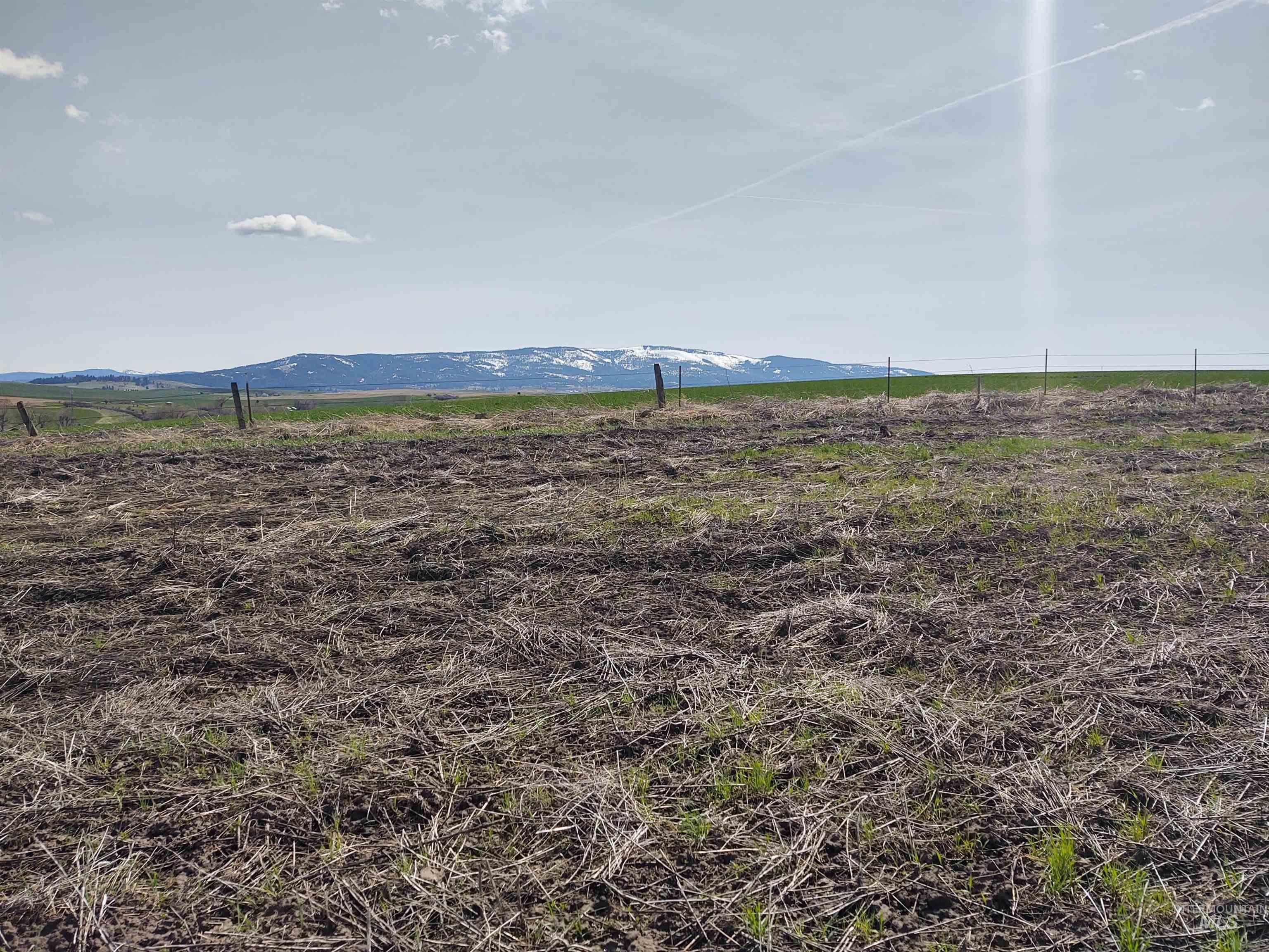 Lot 10 Angus Ranch Road Grangeville, ID 83530 - Photo 6 of 6