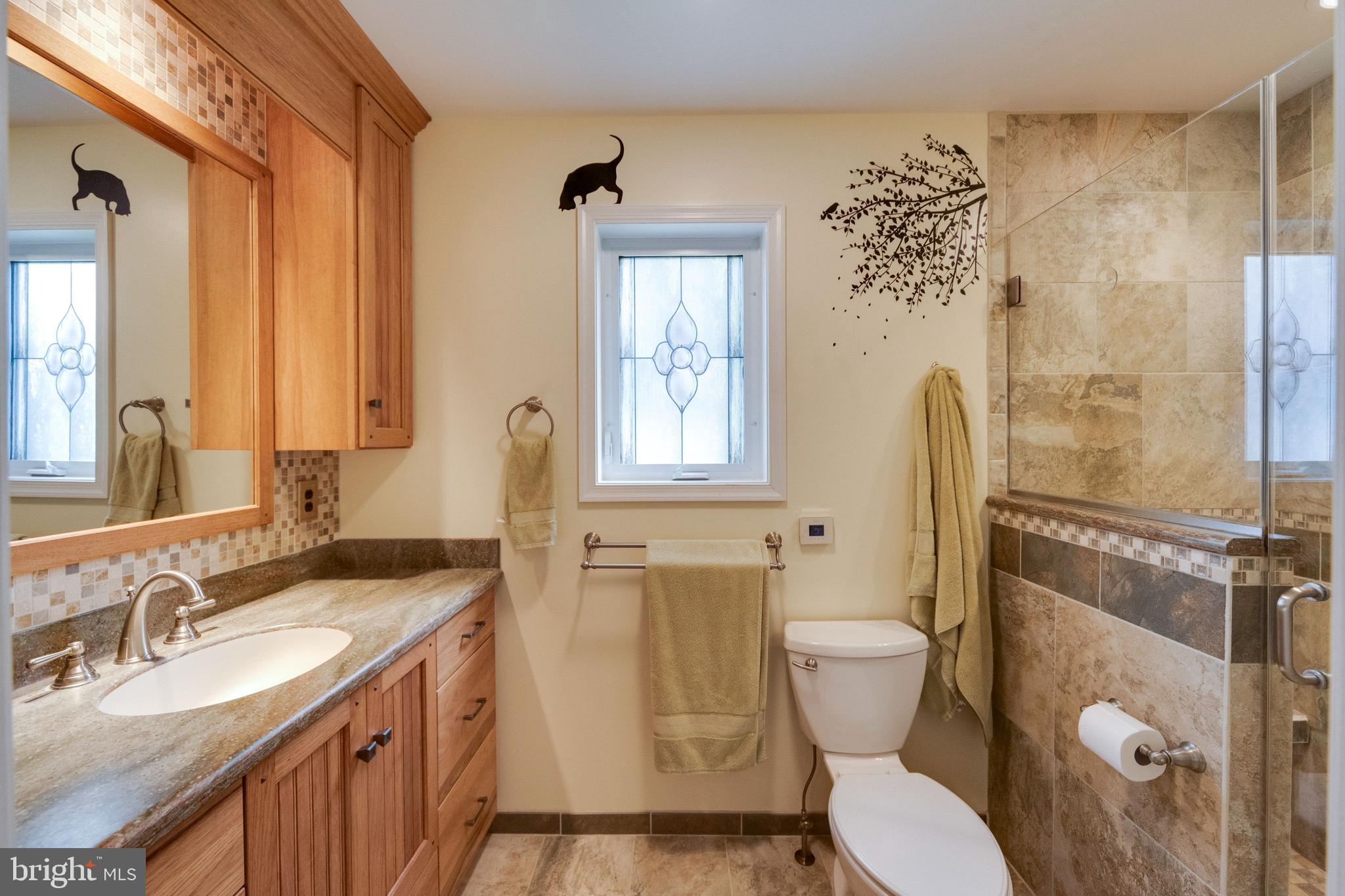 8014 Mapleville Road Boonsboro, MD 21713 - Photo 41 of 109 Primary Bath