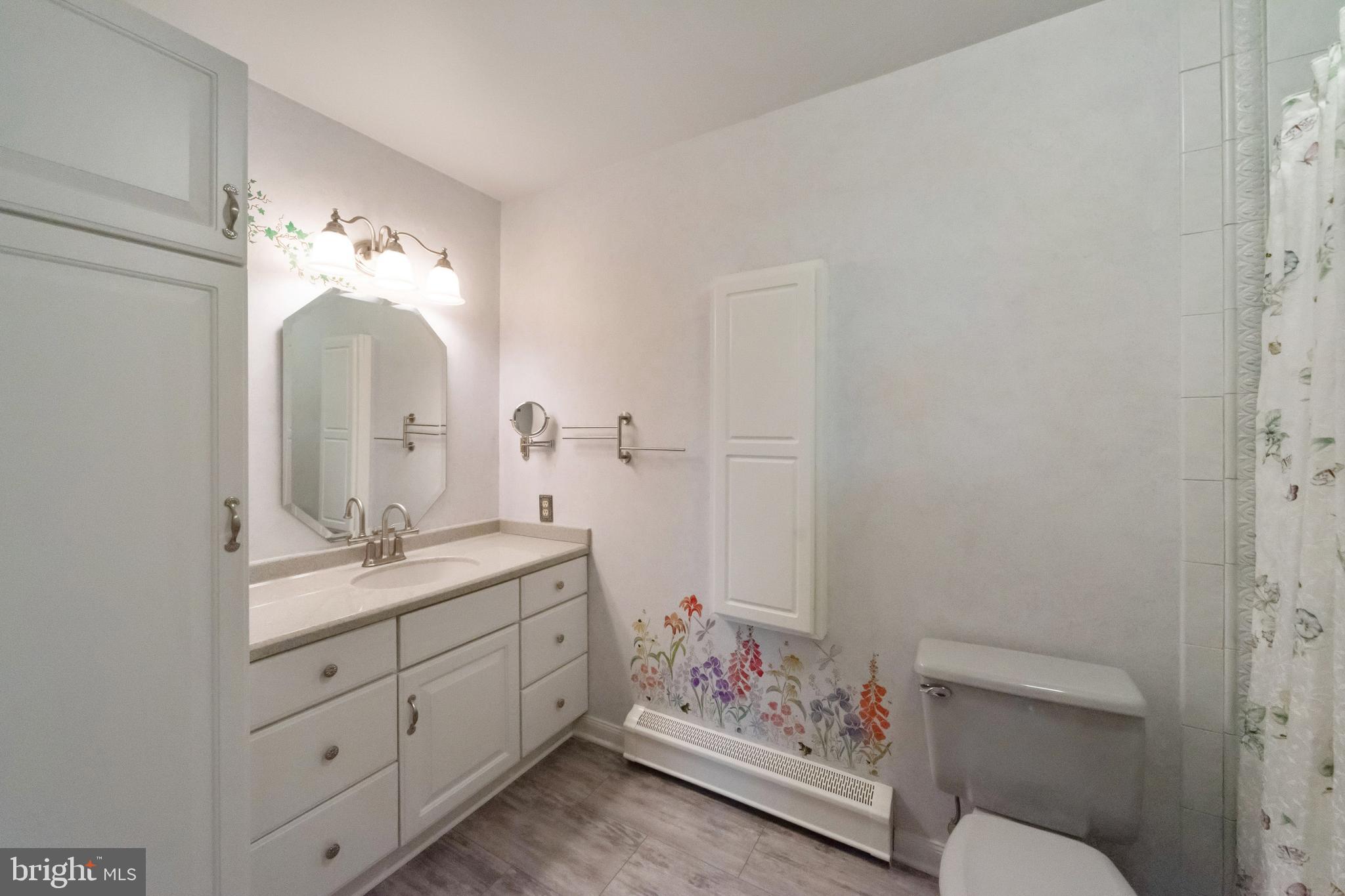 8014 Mapleville Road Boonsboro, MD 21713 - Photo 47 of 109 Full Bath