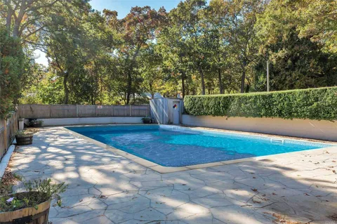 a view of a yard with plants and trees