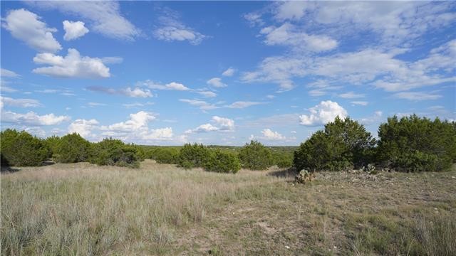 Lot 148 High Point Drive Kempner, TX 76539 - Photo 2 of 12 Large flat building area at front of lot