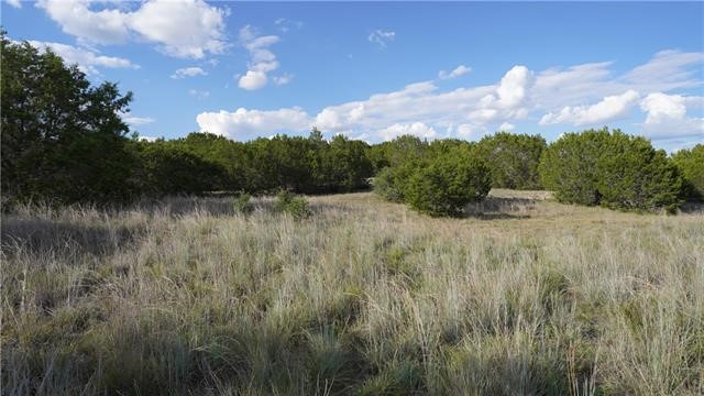 Lot 148 High Point Drive Kempner, TX 76539 - Photo 5 of 12 Lots of trees of all heights