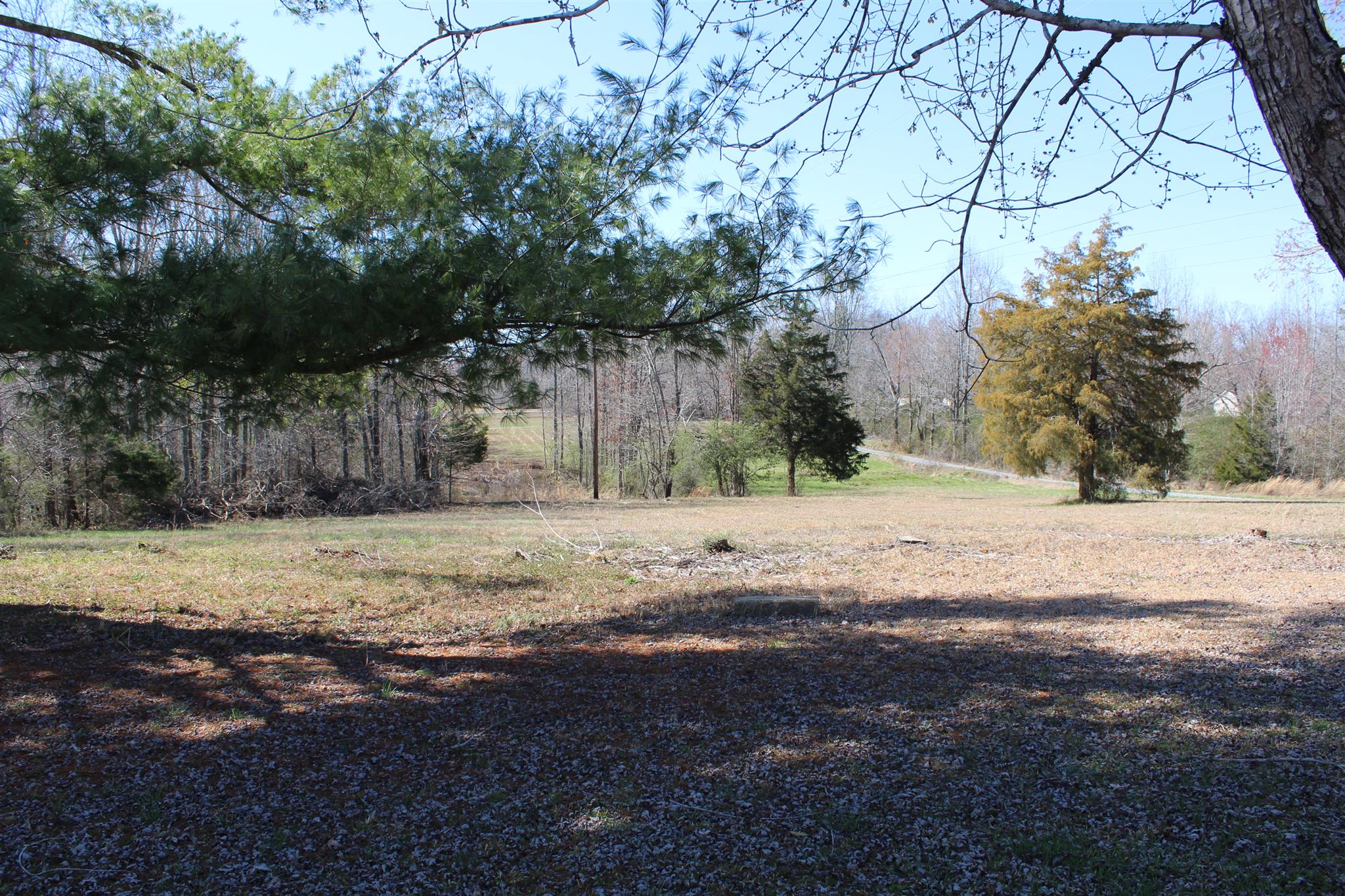 640 Pruett Road Dickson, TN 37055 - Photo 5 of 28 a view of dirt yard with a large tree