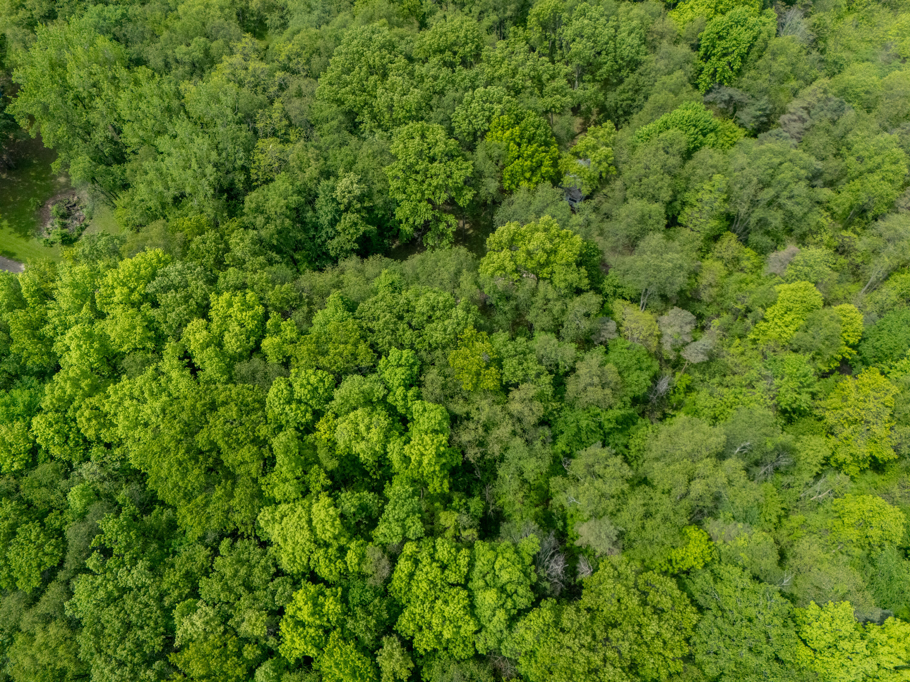 4511 Waldorf Road Delton, MI 49046 - Photo 21 of 30 4511 Wadorf Rd-507