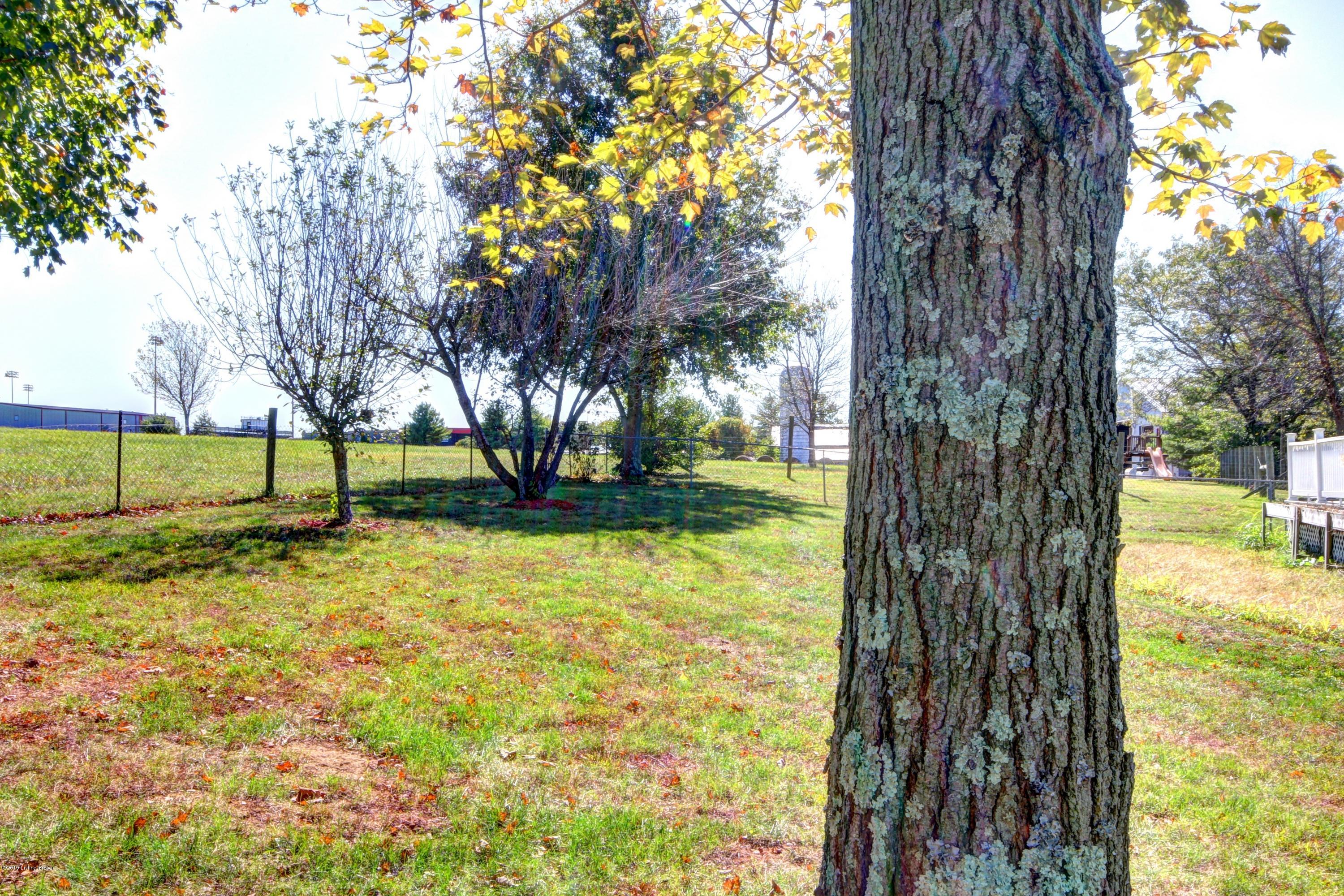 876 Eminence Road Eminence, KY 40019 - Photo 78 of 93 Henry Co Schools in distance