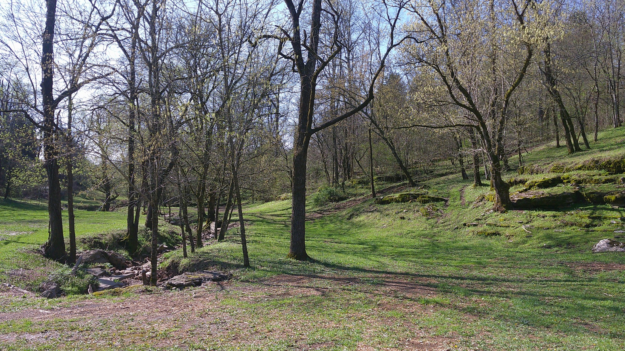 1919 Bartlett Hollow Road Petersburg, TN 37144 - Photo 16 of 45