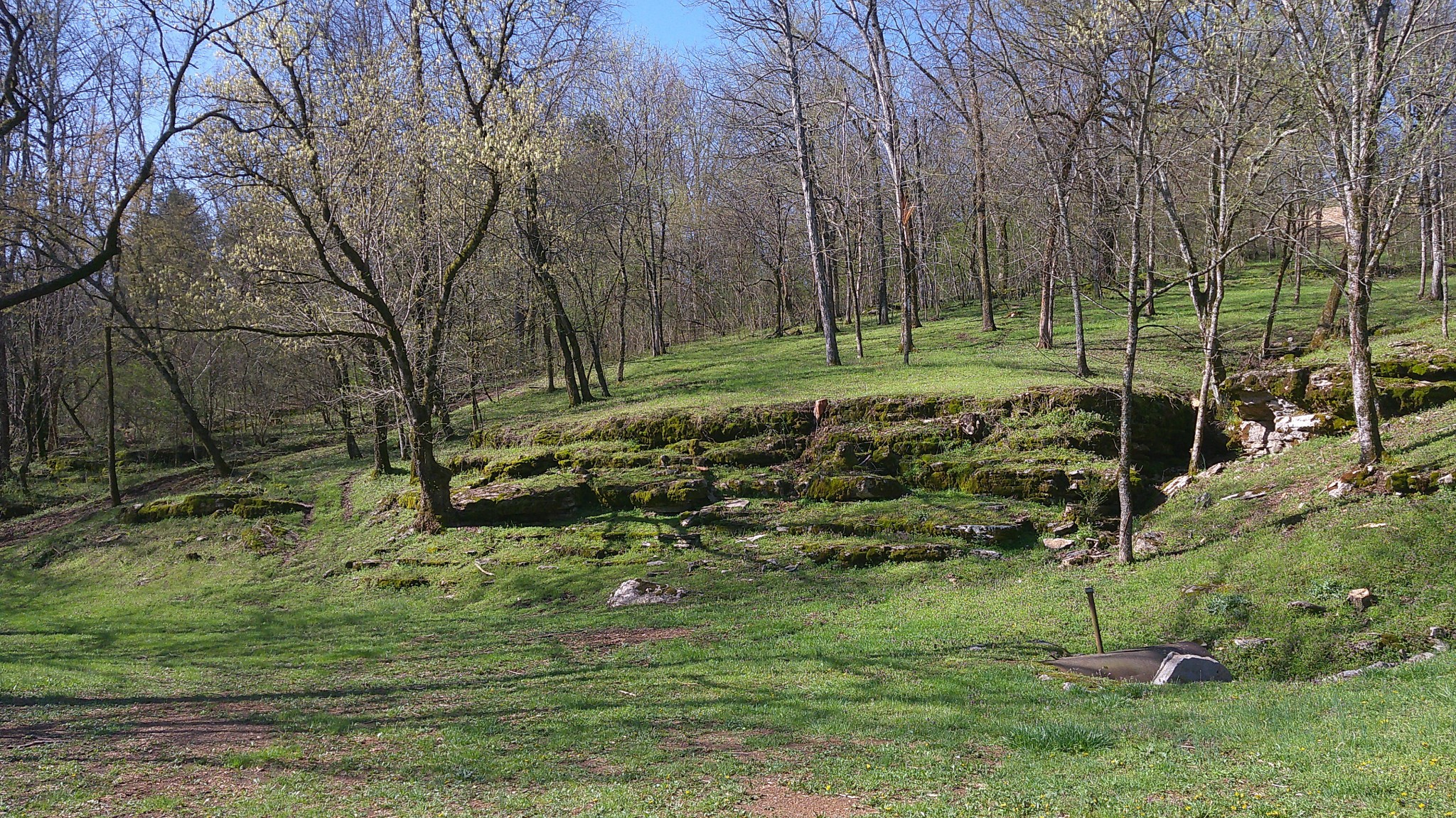 1919 Bartlett Hollow Road Petersburg, TN 37144 - Photo 17 of 45