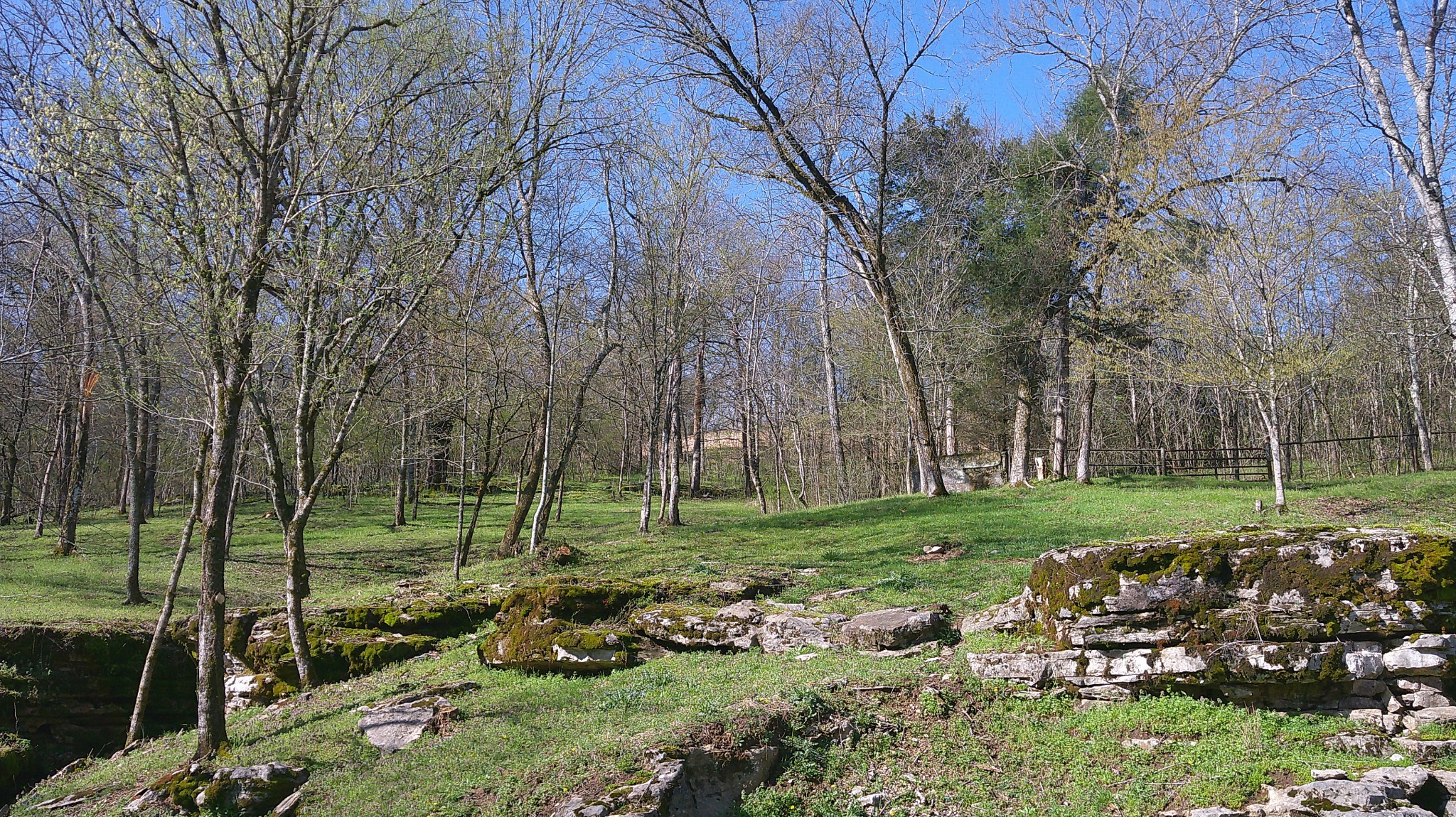 1919 Bartlett Hollow Road Petersburg, TN 37144 - Photo 23 of 45