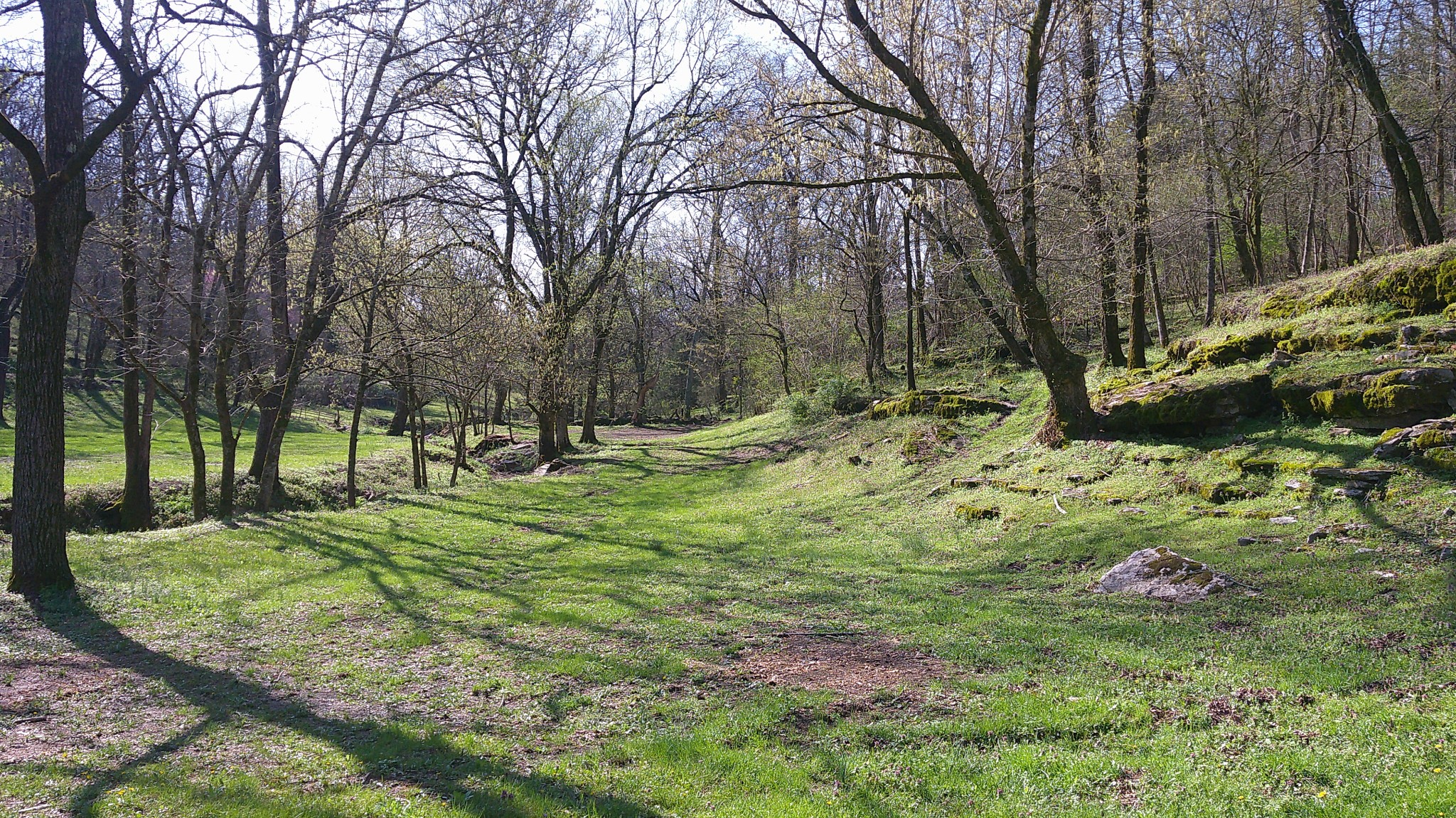 1919 Bartlett Hollow Road Petersburg, TN 37144 - Photo 24 of 45