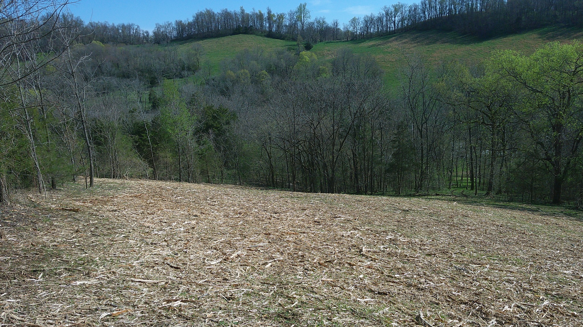 1919 Bartlett Hollow Road Petersburg, TN 37144 - Photo 26 of 45