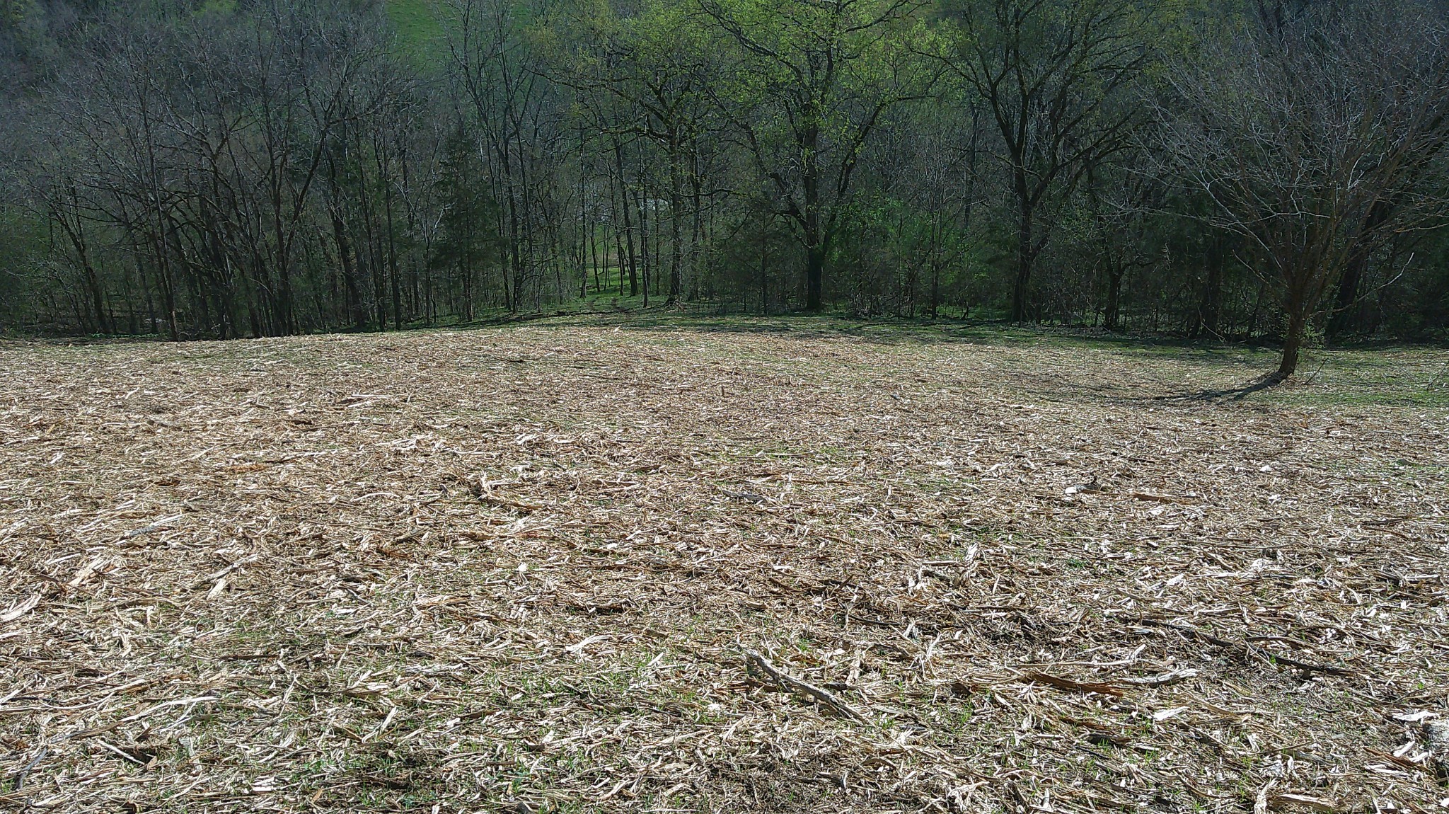 1919 Bartlett Hollow Road Petersburg, TN 37144 - Photo 27 of 45
