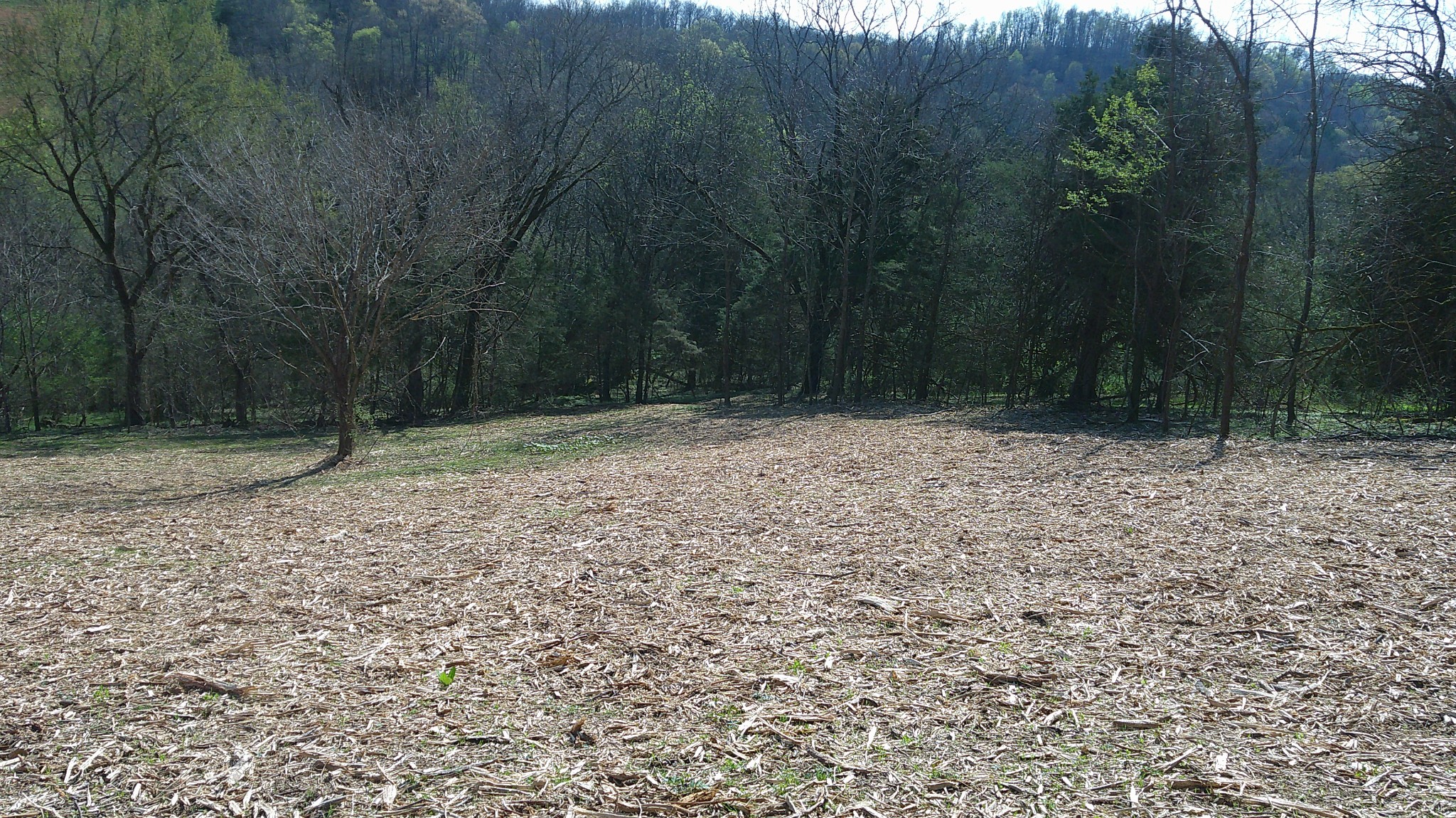 1919 Bartlett Hollow Road Petersburg, TN 37144 - Photo 28 of 45