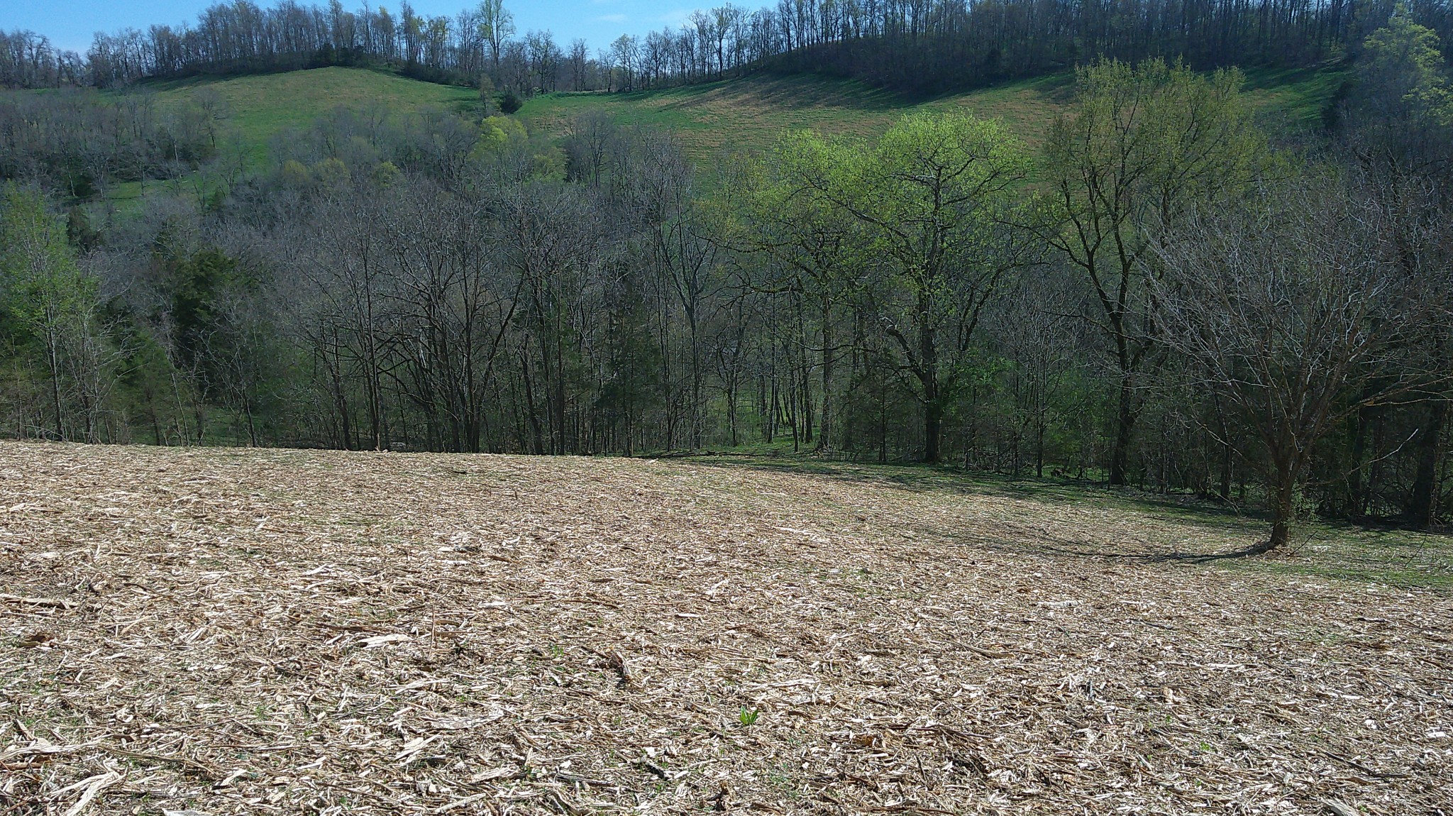 1919 Bartlett Hollow Road Petersburg, TN 37144 - Photo 29 of 45
