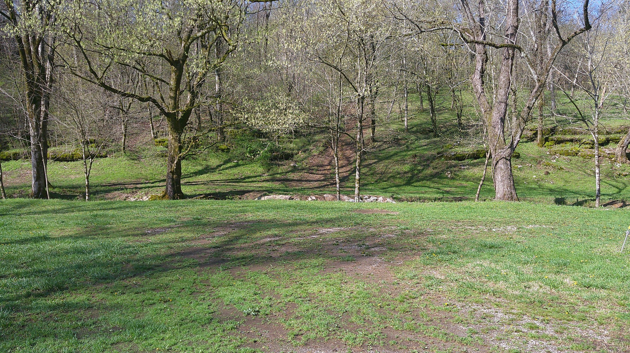 1919 Bartlett Hollow Road Petersburg, TN 37144 - Photo 8 of 45
