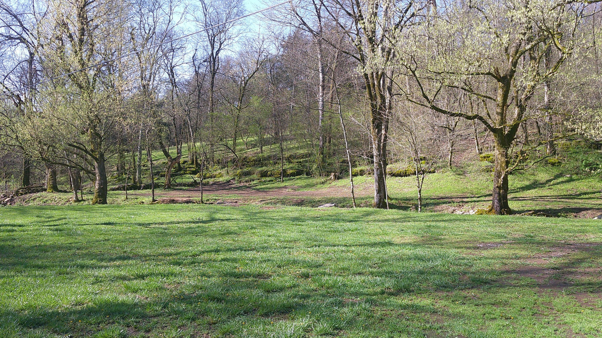 1919 Bartlett Hollow Road Petersburg, TN 37144 - Photo 9 of 45