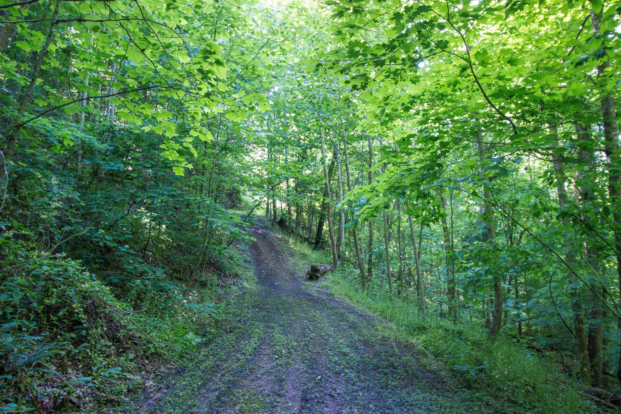 19 Rolling Acres Road Smithville, TN 37166 - Photo 13 of 17 Gallery Image 13