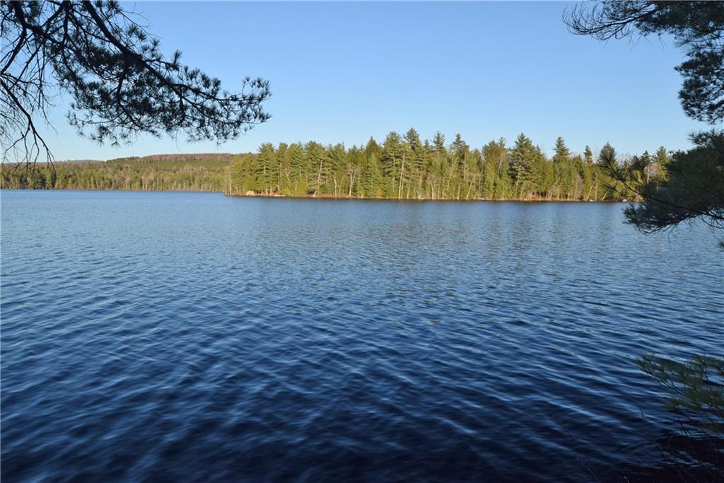 Lot 8 Loop Road Lincoln, ME 04457 - Photo 5 of 15 Maine Lakefront Lot for Sale in Lincoln
