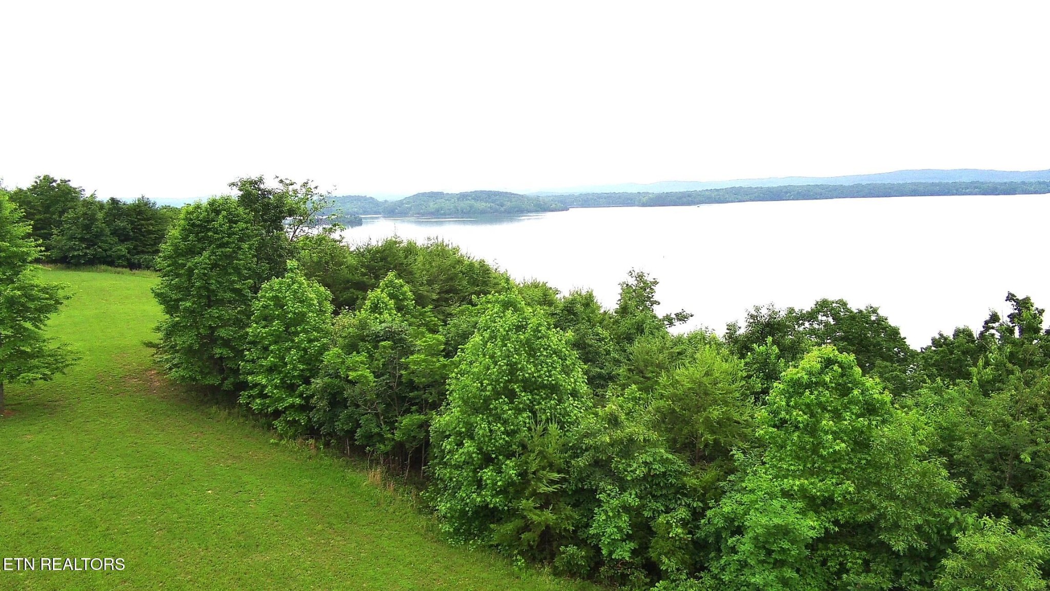 295 River Run Trail Spring City, TN 37381 - Photo 11 of 26