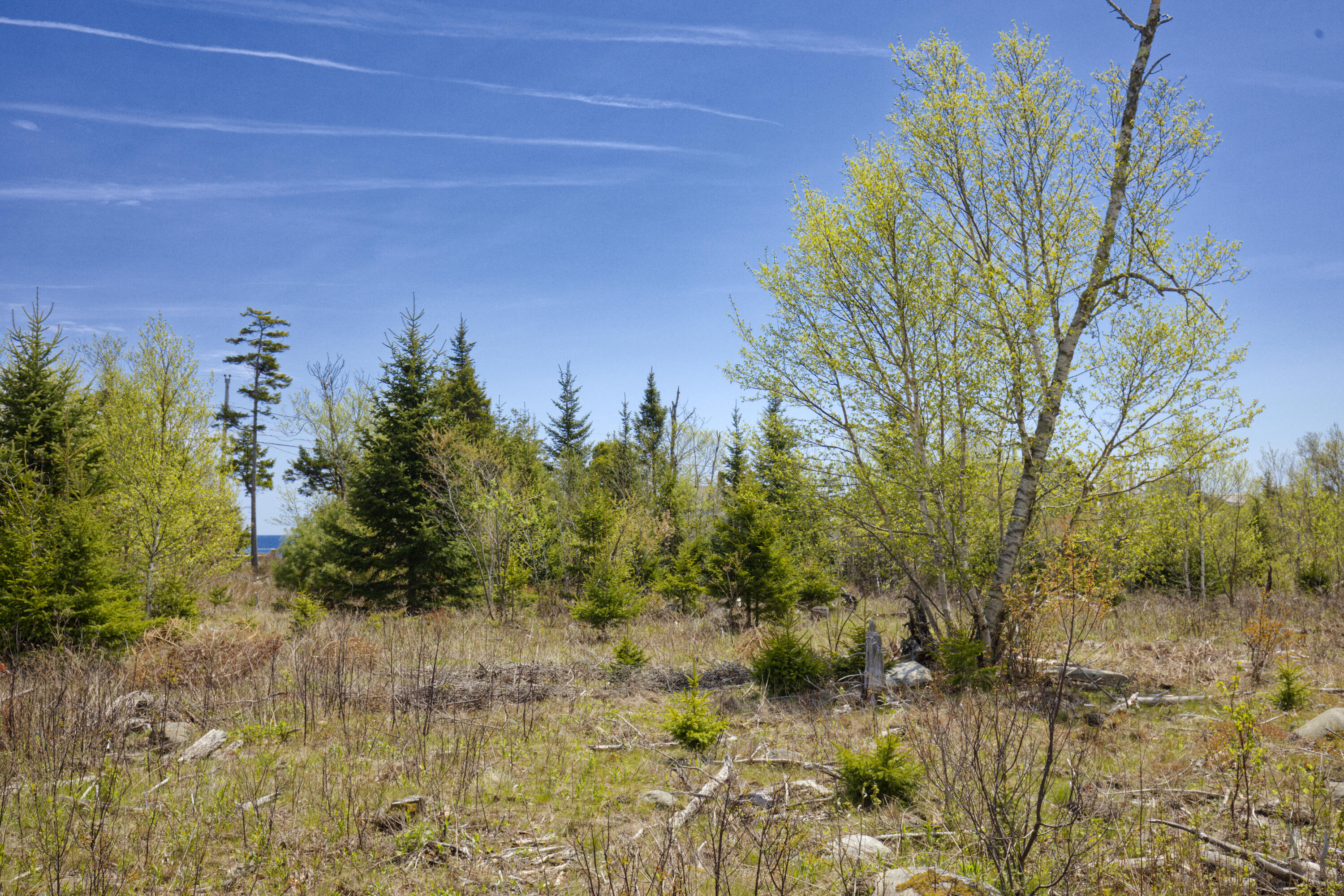 Lot 0 Clover Road New Harbor, ME 04554 - Photo 10 of 14 08-33CliffRd-lot-AT