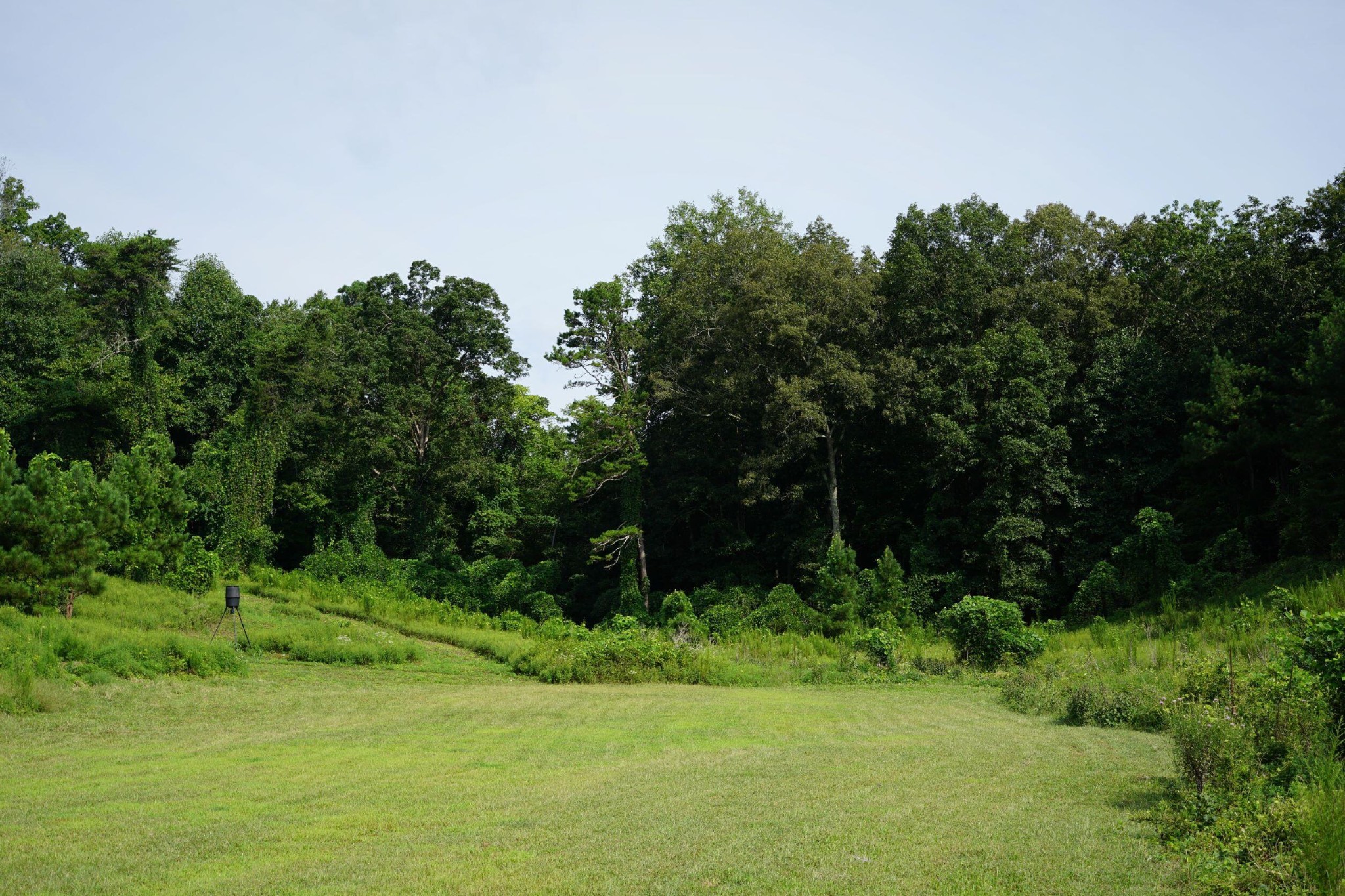 0 Pleasant Road Evensville, TN 37332 - Photo 7 of 7 Gallery Image 7