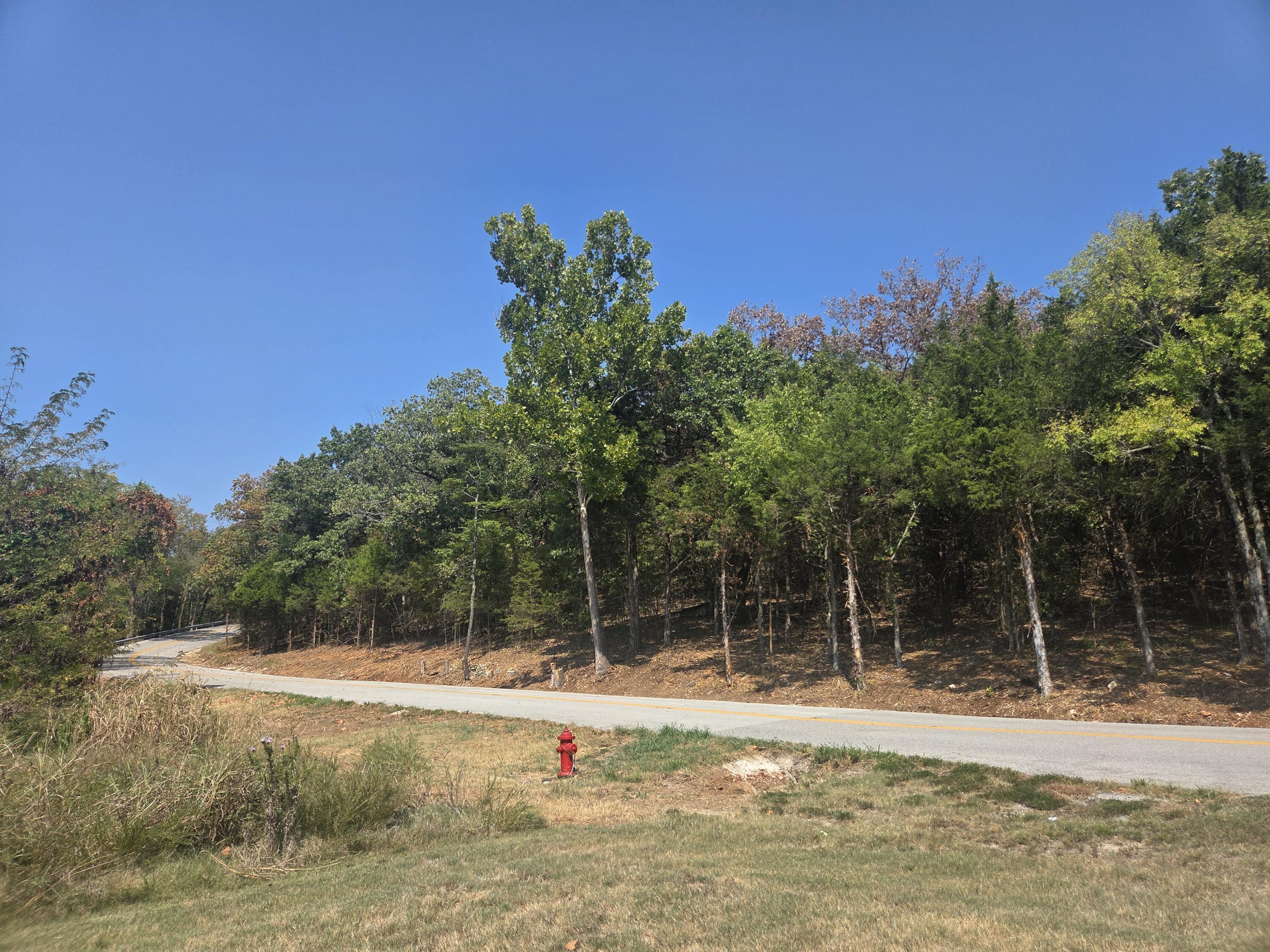 Wooded corner lot