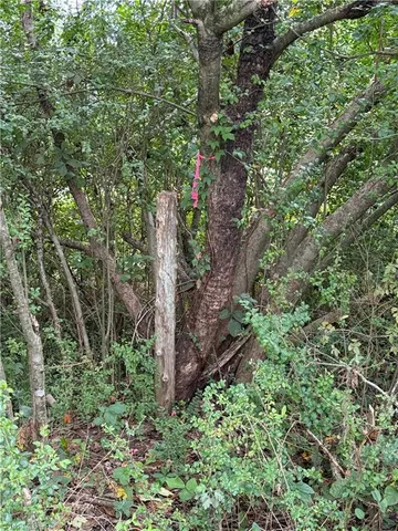 $32,000 | Lot 3 Ruff Hollar Drive, East Bend, NC 27018