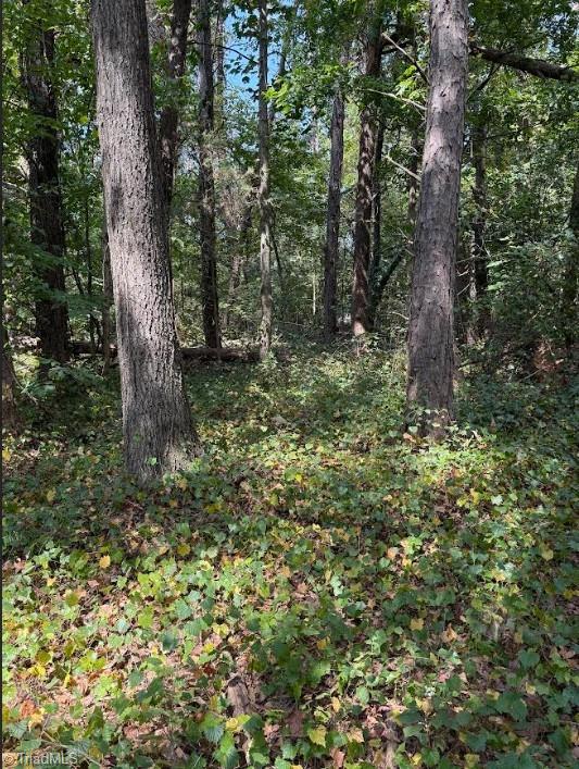 Lot 3 Ruff Hollar Drive East Bend, NC 27018 - Photo 11 of 14