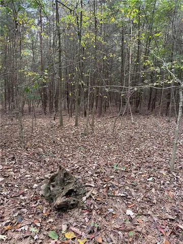 $32,000 | Lot 3 Ruff Hollar Drive, East Bend, NC 27018
