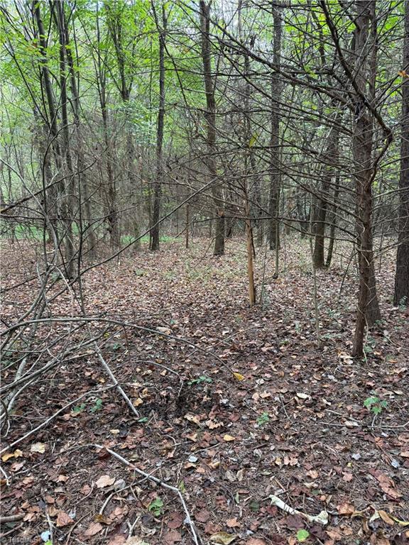 Lot 3 Ruff Hollar Drive East Bend, NC 27018 - Photo 3 of 14