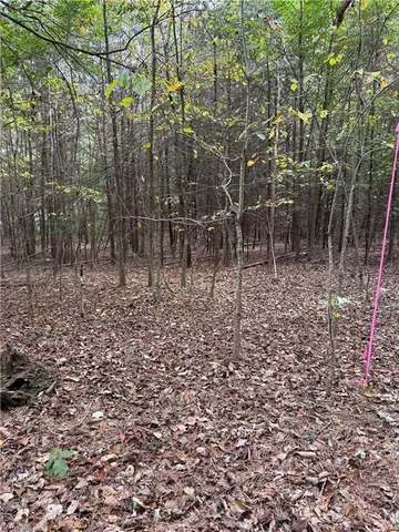 $32,000 | Lot 3 Ruff Hollar Drive, East Bend, NC 27018