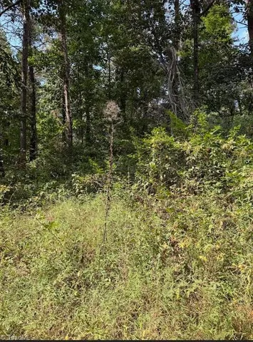 $32,000 | Lot 3 Ruff Hollar Drive, East Bend, NC 27018