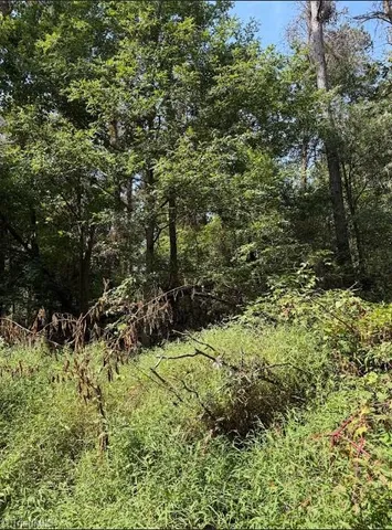 $32,000 | Lot 3 Ruff Hollar Drive, East Bend, NC 27018