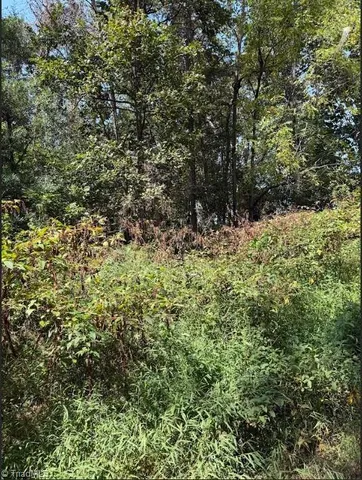 $32,000 | Lot 3 Ruff Hollar Drive, East Bend, NC 27018