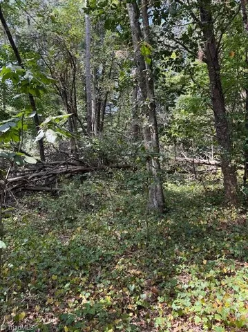 $32,000 | Lot 3 Ruff Hollar Drive, East Bend, NC 27018