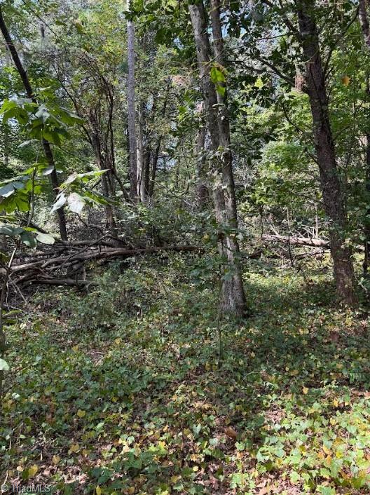 Lot 3 Ruff Hollar Drive East Bend, NC 27018 - Photo 10 of 14