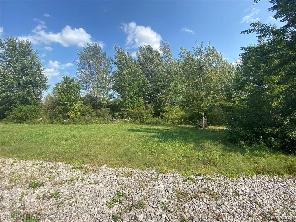 12176 Dunn Road Memphis, MI 48041 - Photo 10 of 12 Gallery Image 10