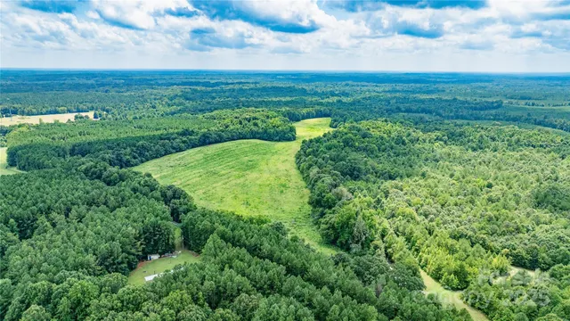 a view of a big yard with large trees