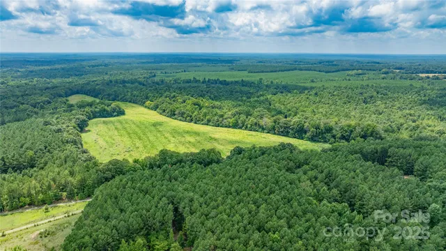 a view of a green field with lots of green space